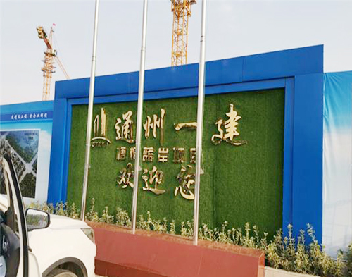  通州一建豐（fēng）縣項目（高壓防護）